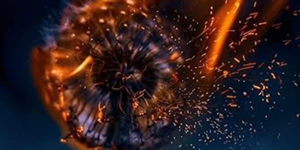 Fly My short story 'Fly' can be found in the anthology 'Burning Dreams'