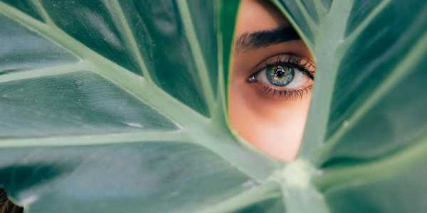 Thoughts on Therapists I have a new therapist.I seem to go through them
