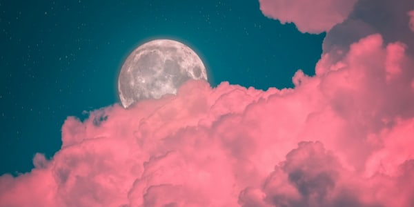 The True Tale of Vengeance: Swan Song   The complete story painted a