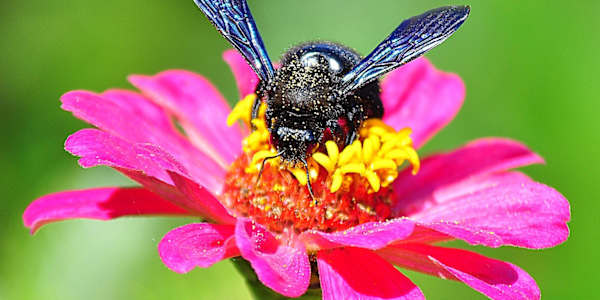 Advertise to me pretty, please. It’s a given in advertising. Beautiful