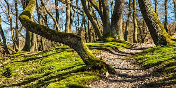 "Battlefield National Park" Poem, published in&nbsp;Dual Coast Magazine,