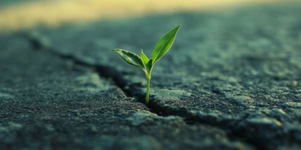 Perseverance It has been claimed that nothing is more important for