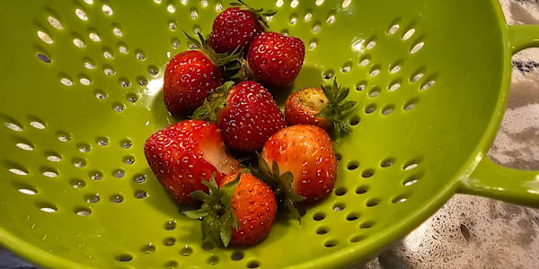 Success is Not a Linear Path This last morning, I was thinking about coming