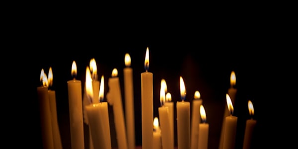 Have a Good Day No wine, no bears … no sincerity.&nbsp;Ah, yes, I was the