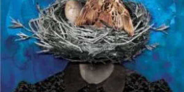 The Bird's Nest: A Chevron Ross Book Review Today’s newsletter continues my