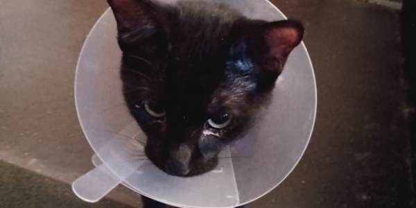  12/16 Tuesday 2:48 PM 41°Listening to: “I’m Still Standing” by Elton