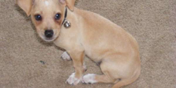 Vulnerability Being open and willing to express your feelings is difficult;