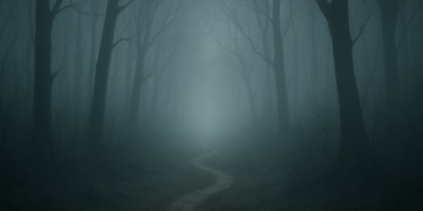 Understanding the Roots of Fear and Safety: A Personal Journey TLDR: This