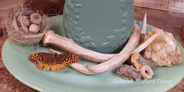 Making a Decorative Tray of Nature's Treasures Nature’s treasures are all