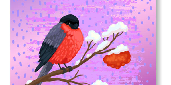 Family Advent – Day 14 Today’s Reading: Psalm 72:8–11; Matthew 2:1–12;