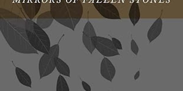 Poetry: Mirrors of Fallen Stones Paperback – April 9, 2014 by Vanessa M