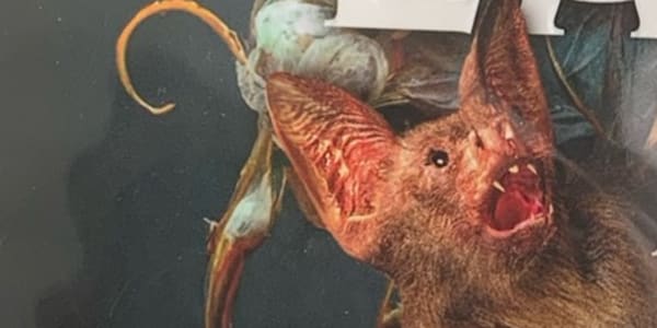 Craft, Craft, Craft & Collaboration I cannot believe it's already 2026, and