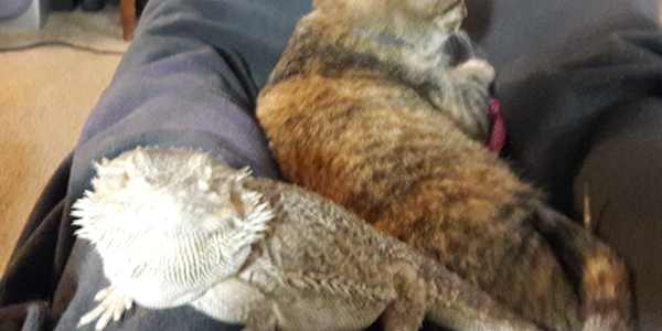 Back to grey &nbsp;I ran after her, every worst-case thought crashing in at