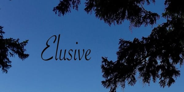  Coming late December 2023!Relaunch of Elusive Little Sucker with a new
