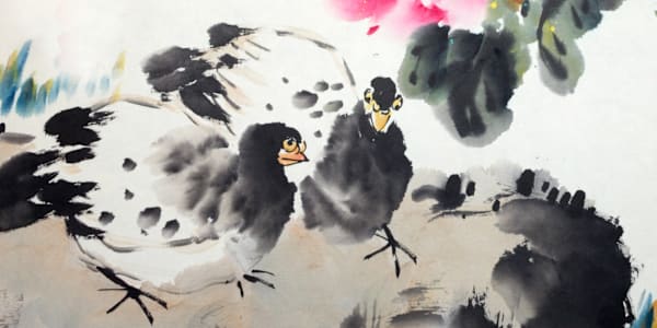 Changing Covers—App vs. Paperback If you've downloaded a Kindle Edition of