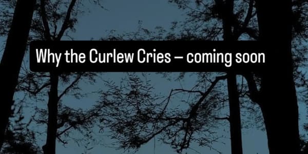Why the Curlew Cries Is Coming This October I'm delighted to announce that