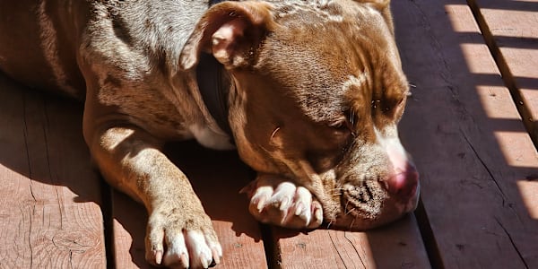 People can change you, if you let them What are the things that you love to