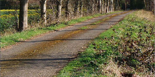 Stane Street &nbsp;The road called Stane Street runs 58 miles from