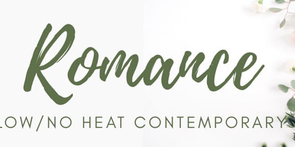 Book Funnel Promo Low/No Heat Contemporary Dive into this collection and