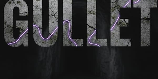 THE GULLET 🚂 My New Horror Novel Is Out… And the Hills Are Still Whispering