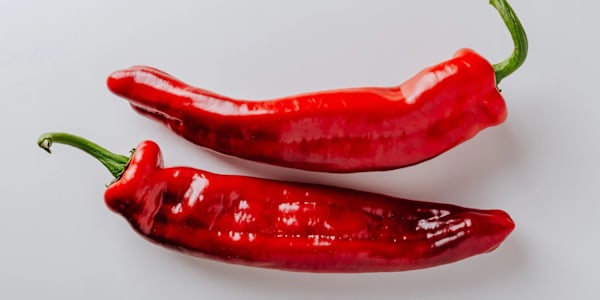 The Spice Question: A Very Scientific Analysis of Cowboy Moon's Heat Level