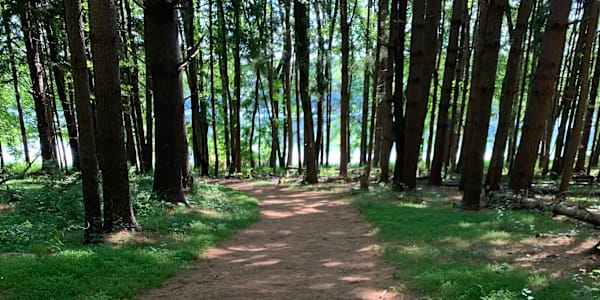 Are We Addicted to Fear? White Dog Walks is about going out in nature and
