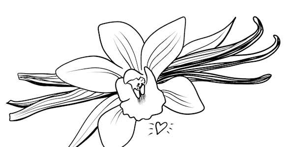 Coming Soon - Wish Bombs, Baking Spells and Recipes Hello Tea, Tarot and