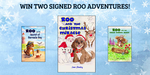 Roo's Christmas Adventure Giveaway 2026 — Official Rules & Privacy Notice