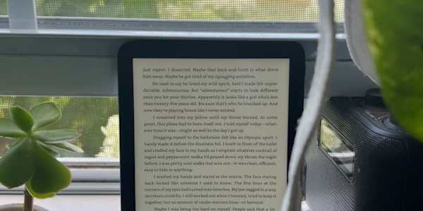 Exciting News for The Lights of Greyfare I’m thrilled to share that The