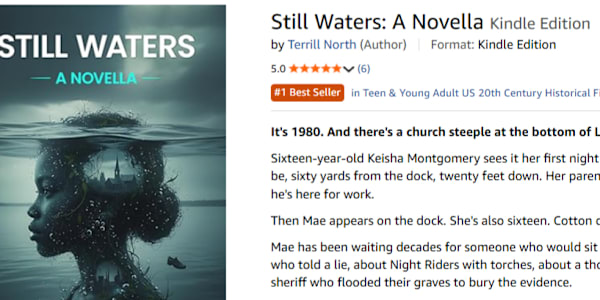 They Buried the Evidence. You Dug It Up! Still Waters hit #1 on Amazon this