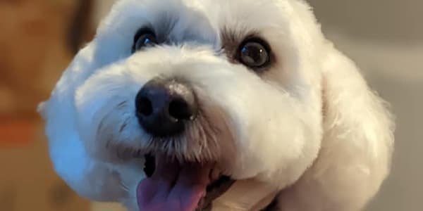 Gratitude This Thanksgiving, I have so much to be grateful for.&nbsp; I am