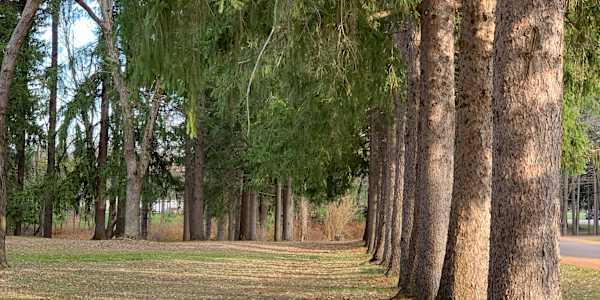 Saturday Mornings Before the World Wakes Up 5th February 2011It is six on a