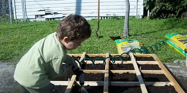 How to Start a Square Foot Garden: A Step-by-Step Guide Square foot