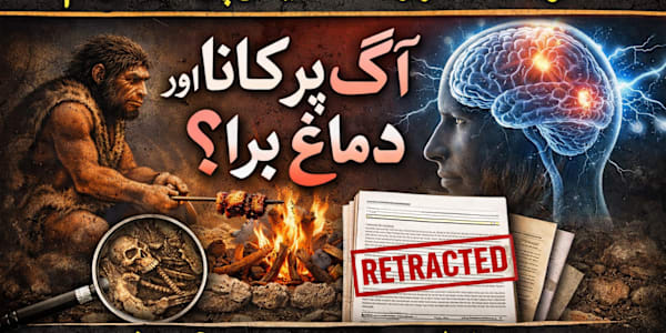 Human Brain and Cooking Hypothesis ڈارونین تھیوری میں جب انسان کا موضوع آتا