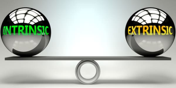 Intrinsic vs Extrinsic There are essentially two types of motivation,