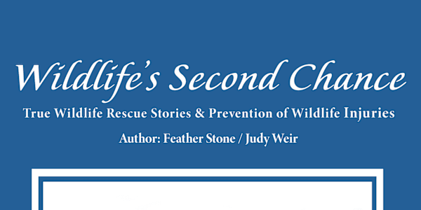International Readers' Favorite Book Review Reviewed by Pikasho Deka for