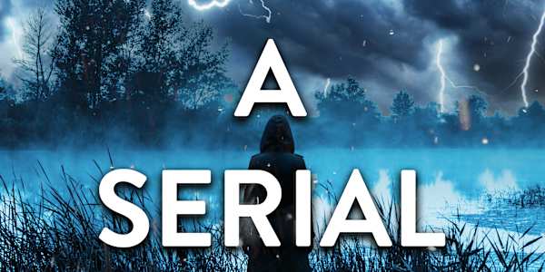 Echoes From A Serial Killer - Shadow Bay Book 4 It is done! The Stitcher