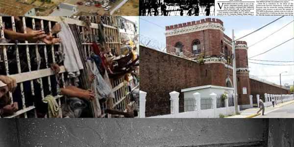 BIRKBECK UNIVERSITY SUMMER SCHOOL  
          
          
        
       