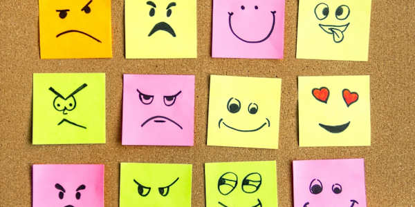 Are Your Emotions Telling the Truth? Learning to Recognize False Feelings