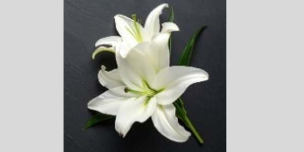 GRIEF Grief moves through time at its own paceIt can never be hurried