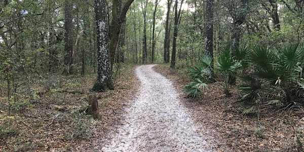 In the Woods, Talking About Dying I know, it’s an interesting title.I