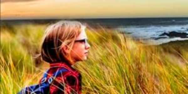 Pescadero: A Chevron Ross Book Review Families are falling apart in this