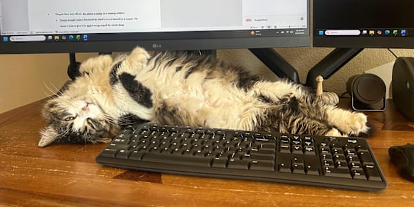 The Struggle is Real Writing comes with many obstacles... developing the