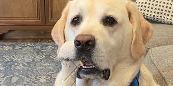 Big News from Floyd! My master and best friend, Robert John DeLuca, has