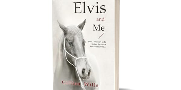 Review of Elvis and Me from Shelley Dark, bestselling author of Hydra in