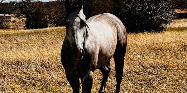 Creative breakthroughs happen when you least expect them. According to a