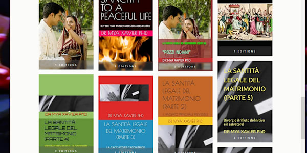 What AI had to say about my Legal Sanctity of Marriage Series:- Book 7 Part