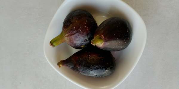 Black Friday free ebook giveaway  My ebook 'Bite to eat and bit to read.