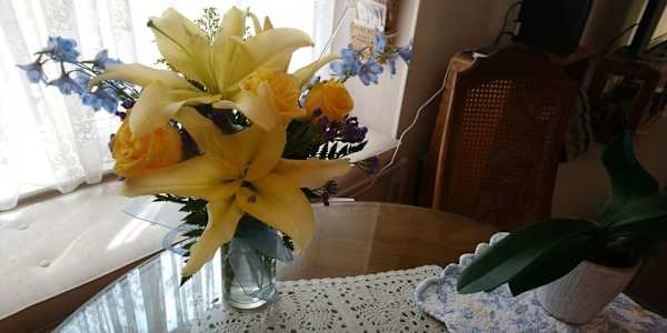 Free Short Story The Virtual Green RoomTHE VIRTUAL GREEN ROOM.pdf 173.74 KB