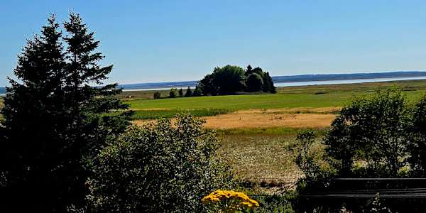 Happy Spring Equinox! 🌿✨ Happy Spring Equinox ✨🌿Today the light stands